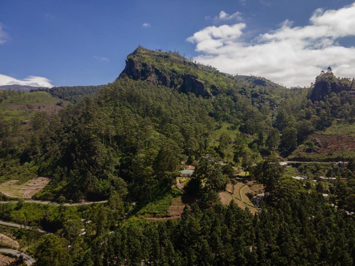 Highgrove Estate By Ishq Pension Labugolla Buitenkant foto