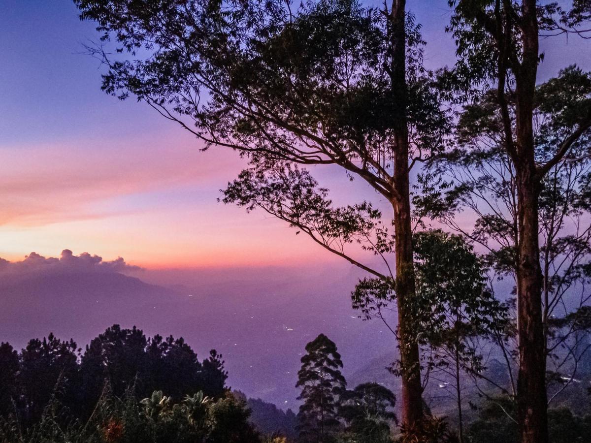 Highgrove Estate By Ishq Pension Labugolla Buitenkant foto
